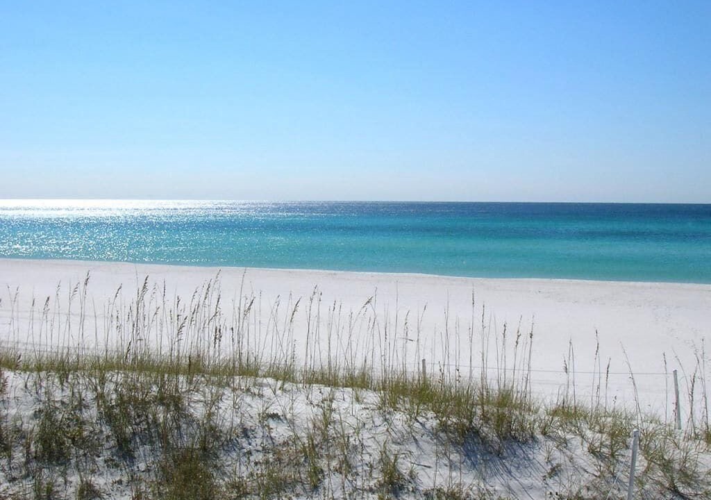 Photo of Others in Gulf Lagoon Beach