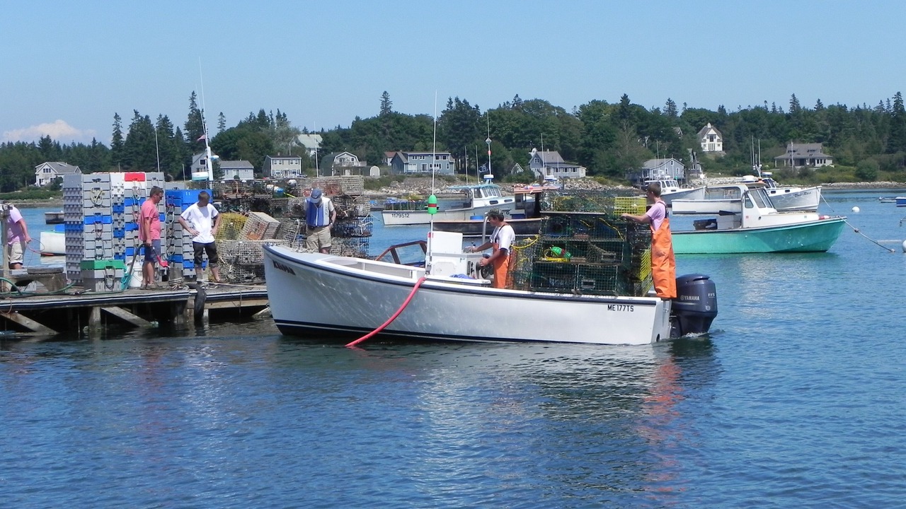 Photo of Others in Bass Harbor