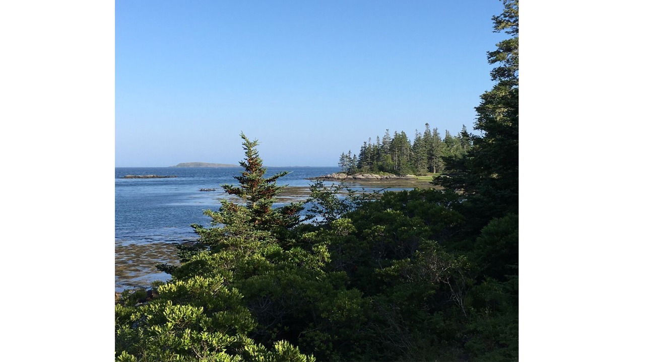 Photo of Others in Vinalhaven