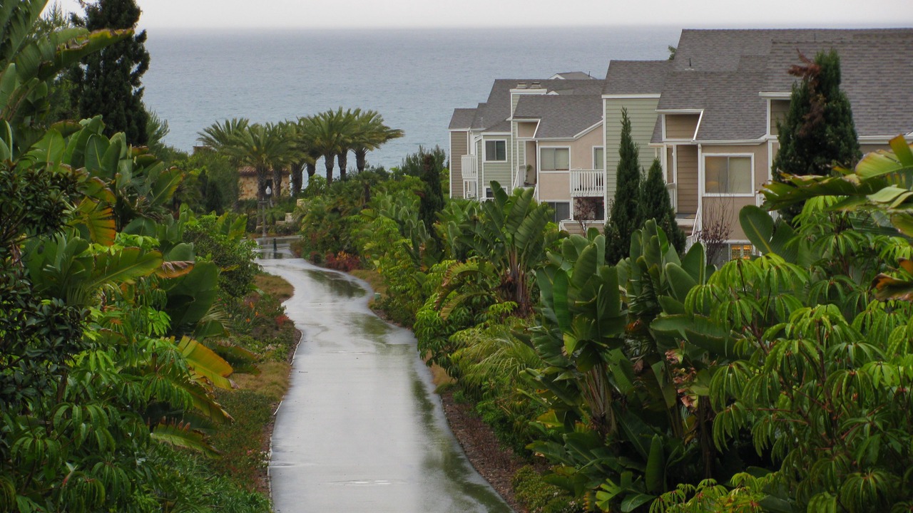 Photo of Others in Dana Point