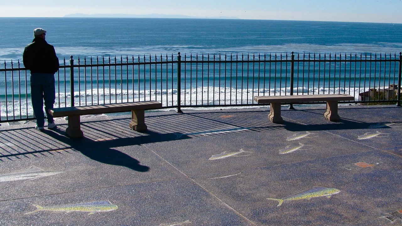 Photo of Others in Dana Point