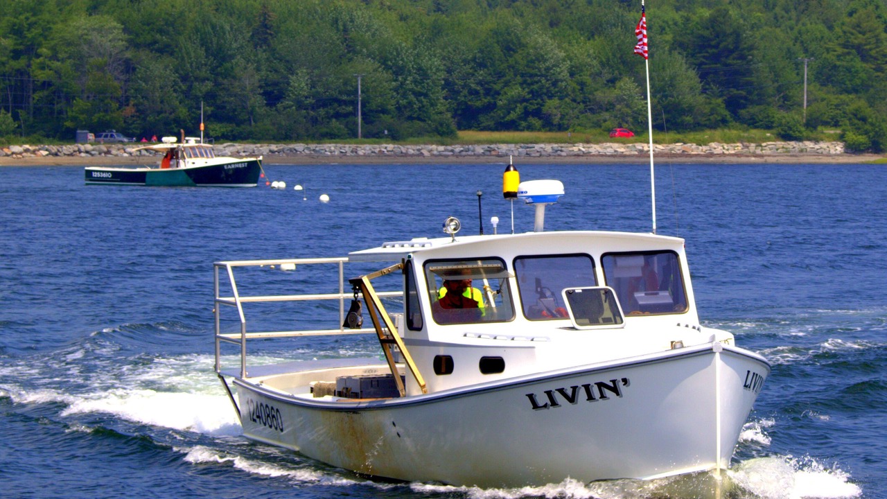 Photo of Others in Salsbury Cove
