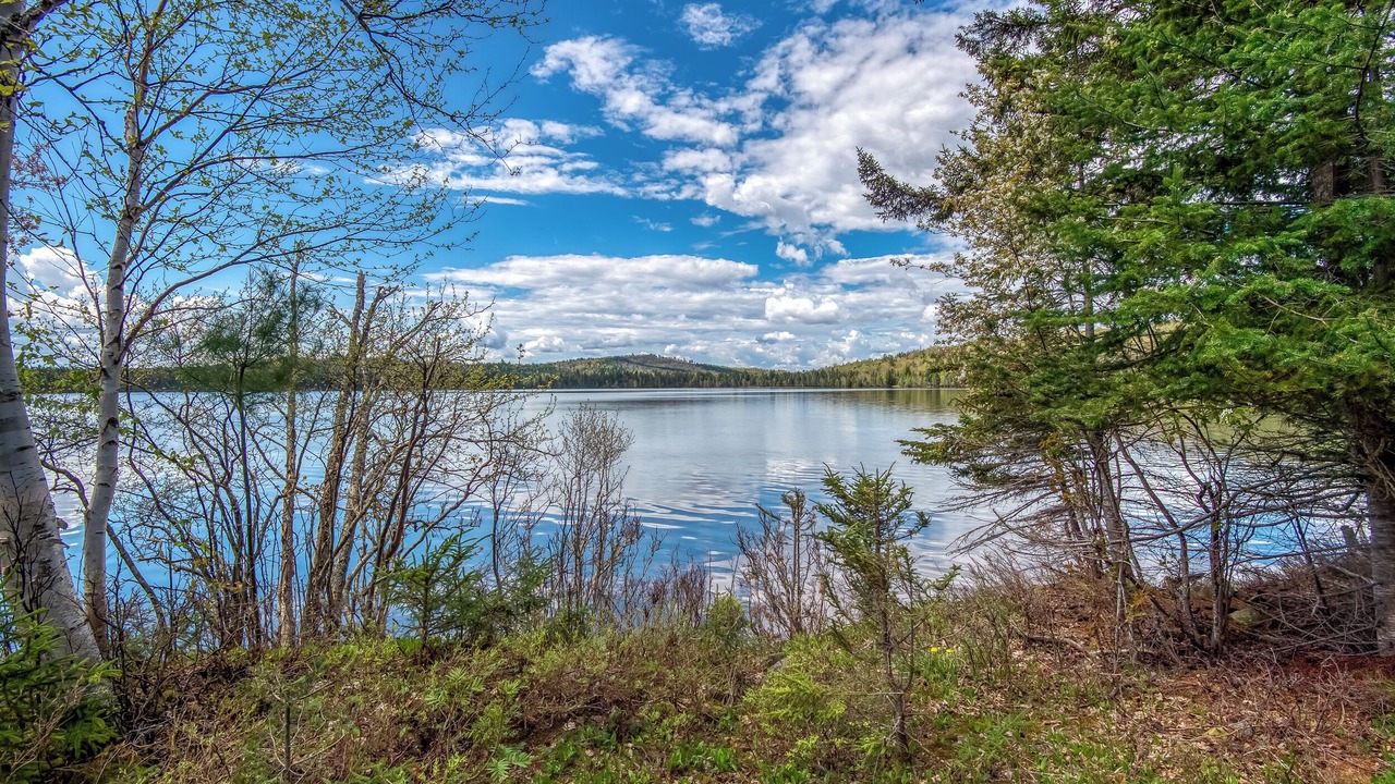 Photo of Others in Rangeley