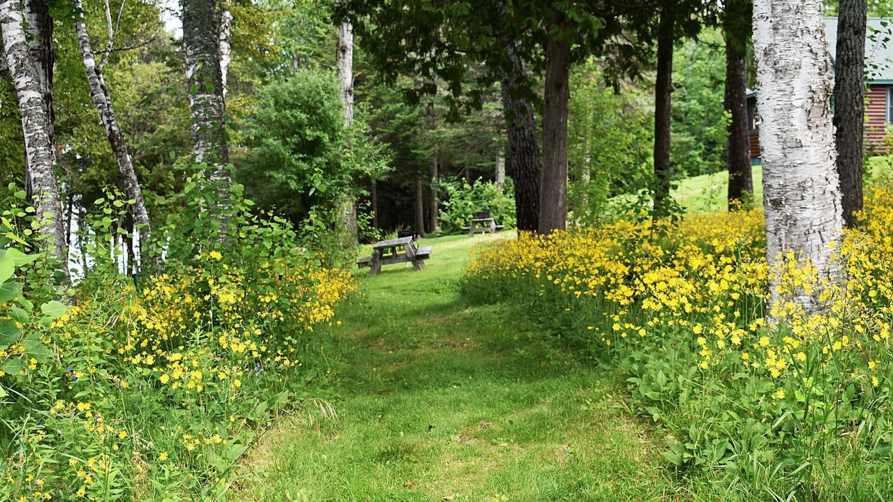 Photo of Others in Rangeley Plantation