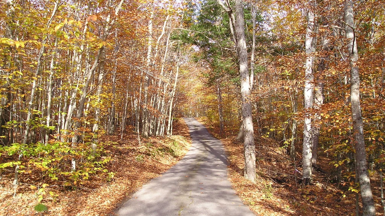 Photo of Outdoor in Hope