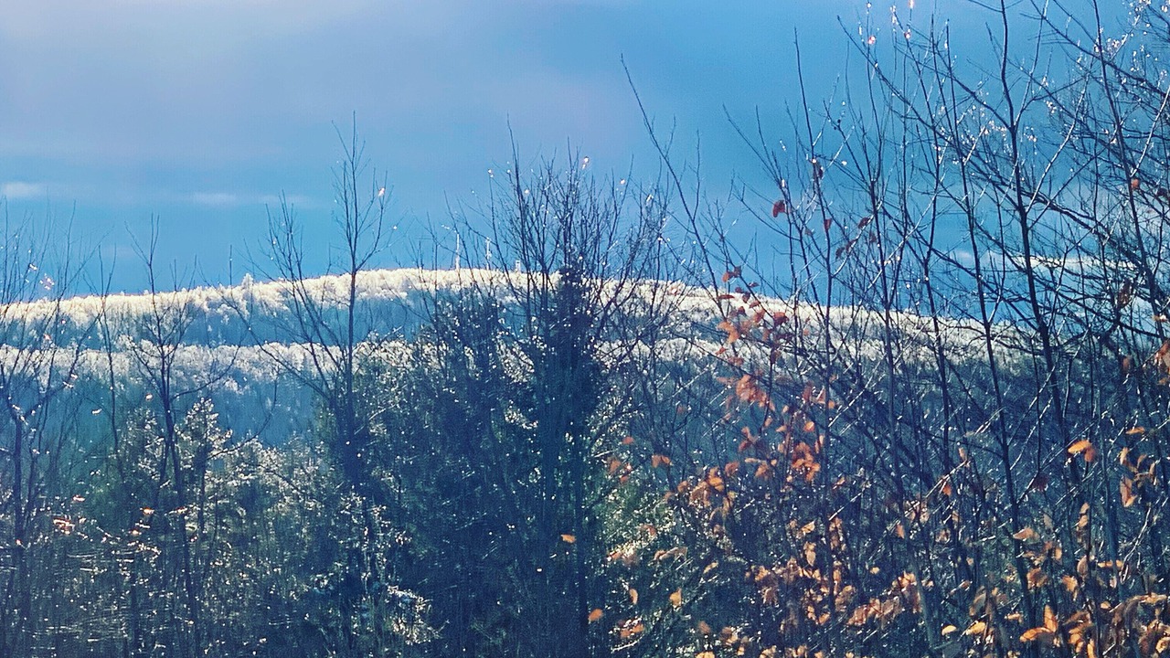 Photo of Outdoor in New Sharon