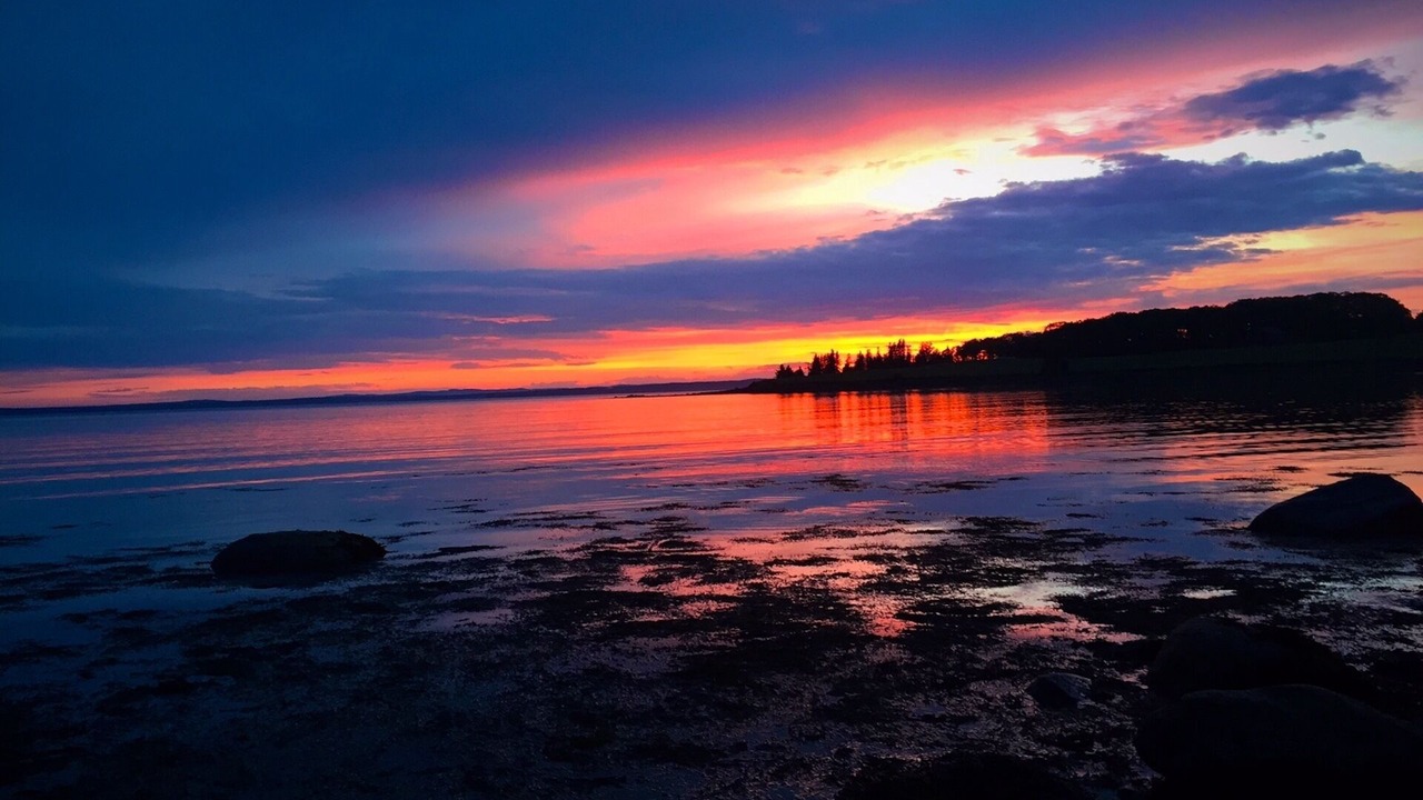 Photo of Others in Castine