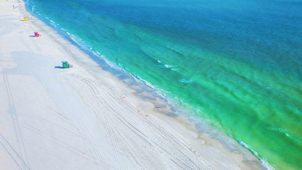 Photo of Others in Sarasota