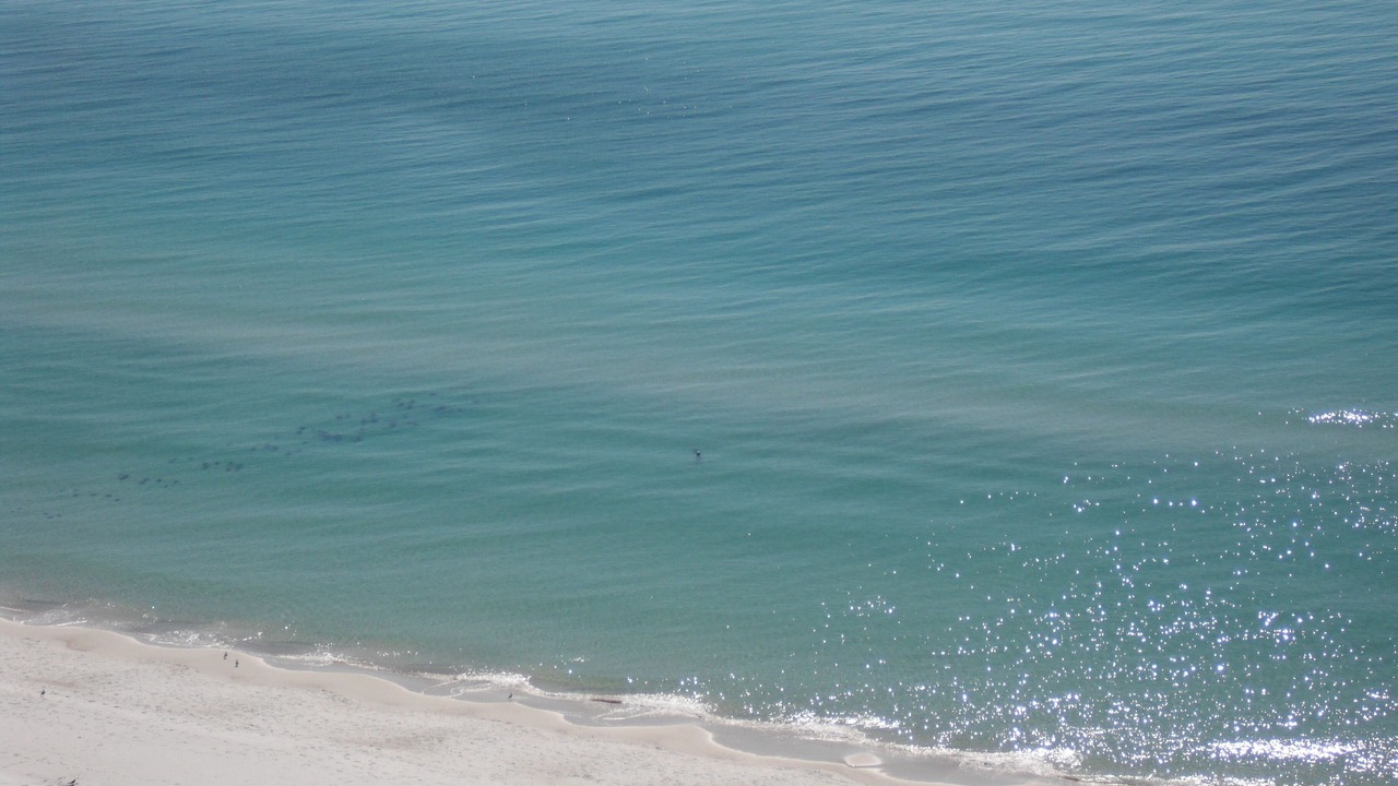 Photo of Others in Panama City Beach