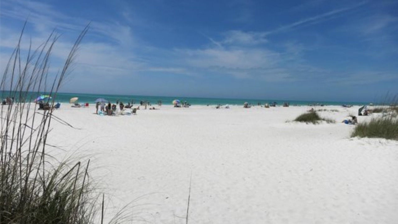 Photo of Others in Anna Maria