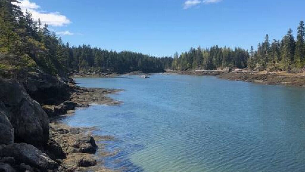 Photo of Others in Vinalhaven
