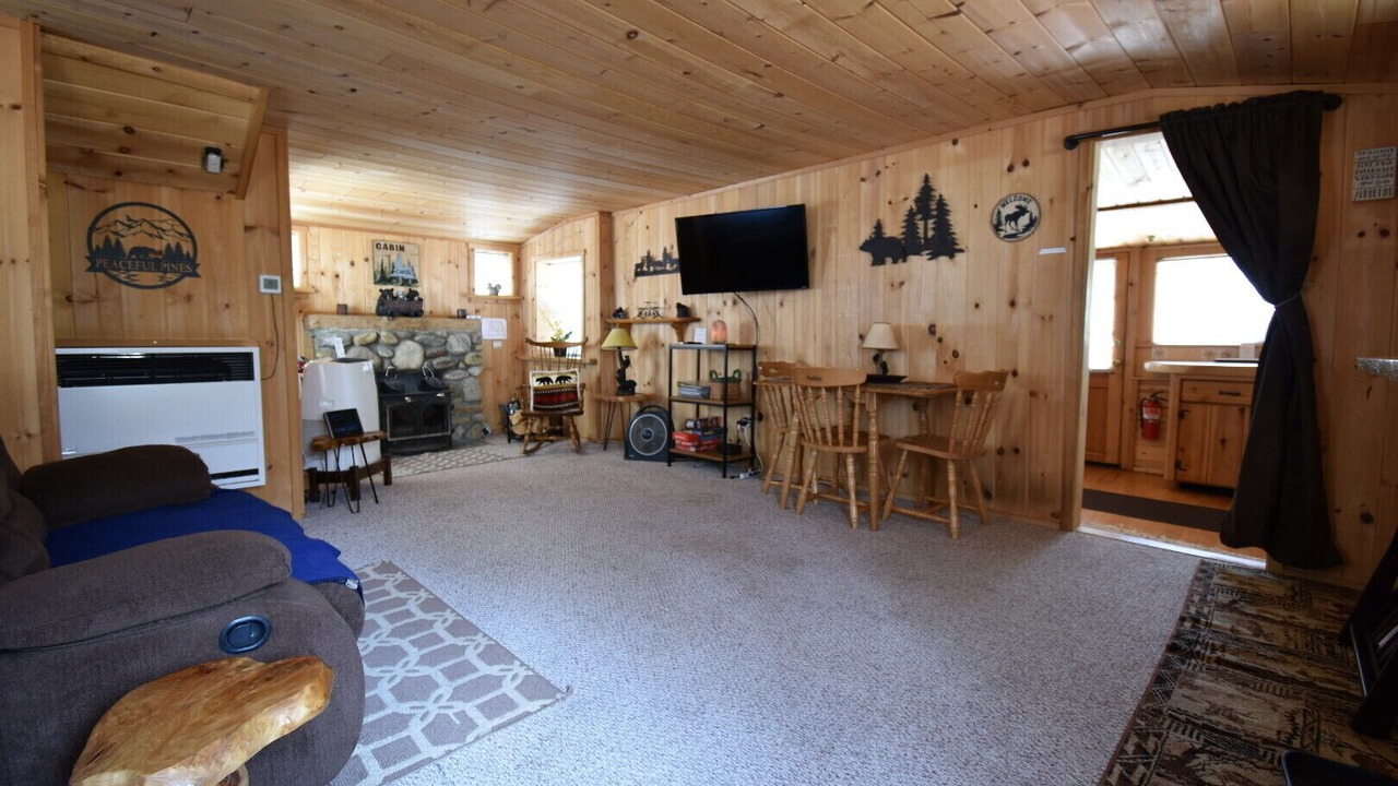 Photo of Livingroom in Idyllwild