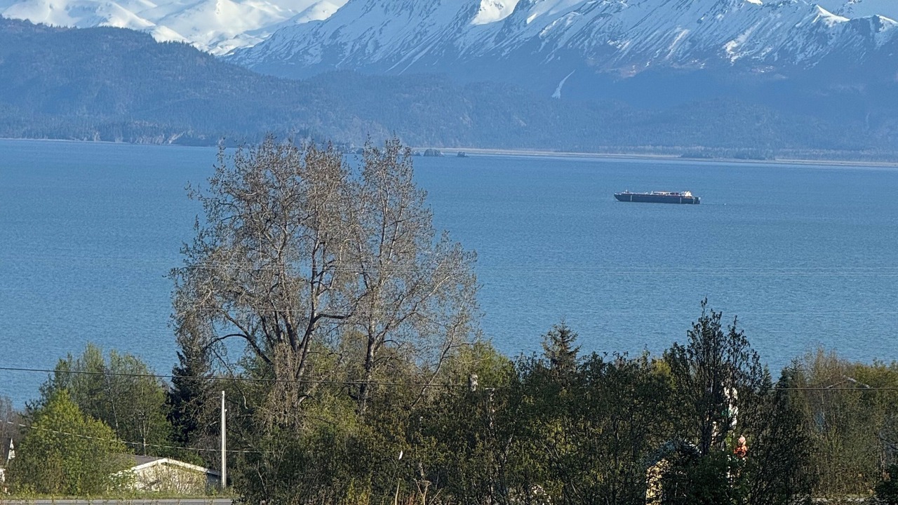 Photo of Others in Kachemak