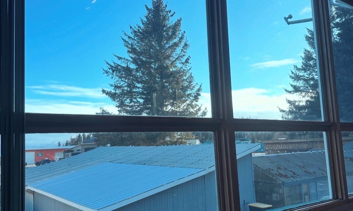 Photo of Others in Homer