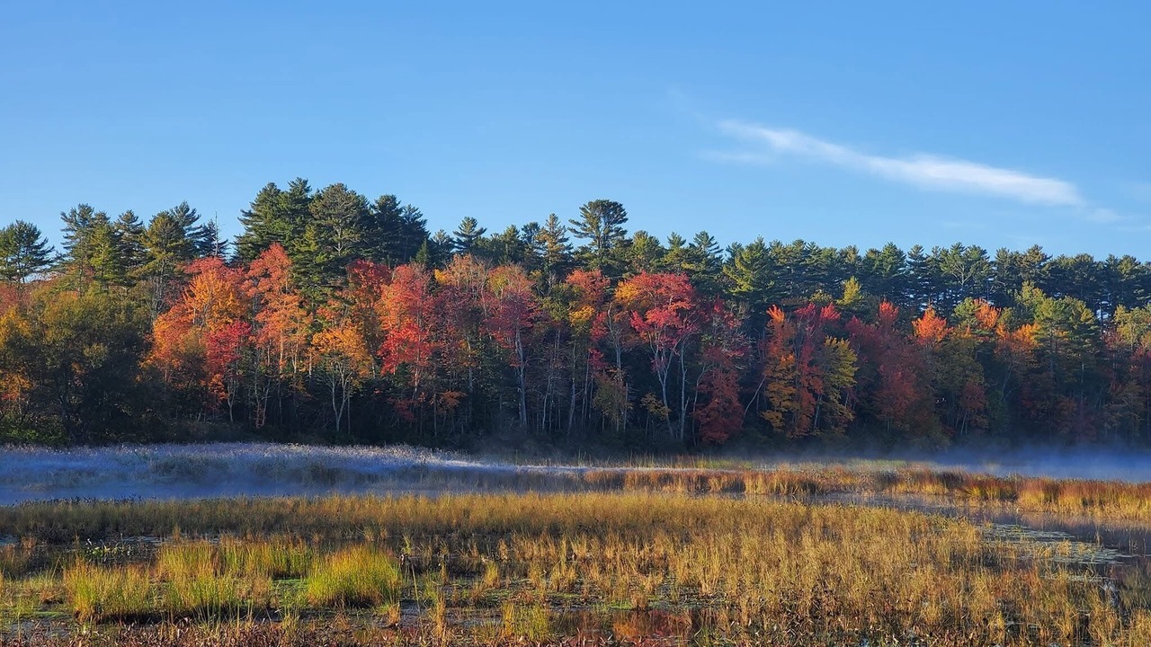 Photo of Others in Lincolnville