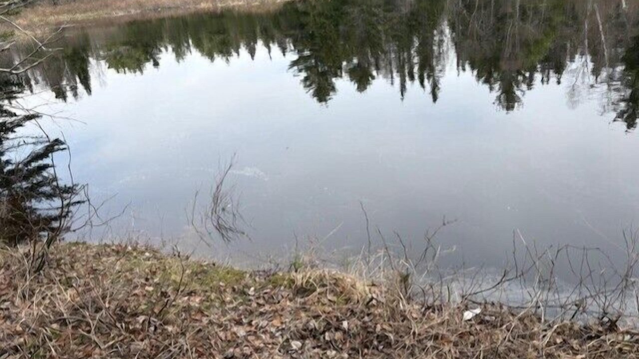 Photo of Others in Cherryfield