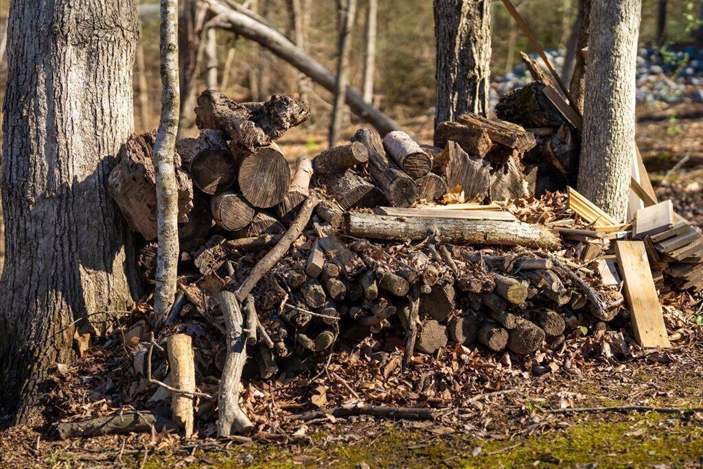 Photo of Others in Marion