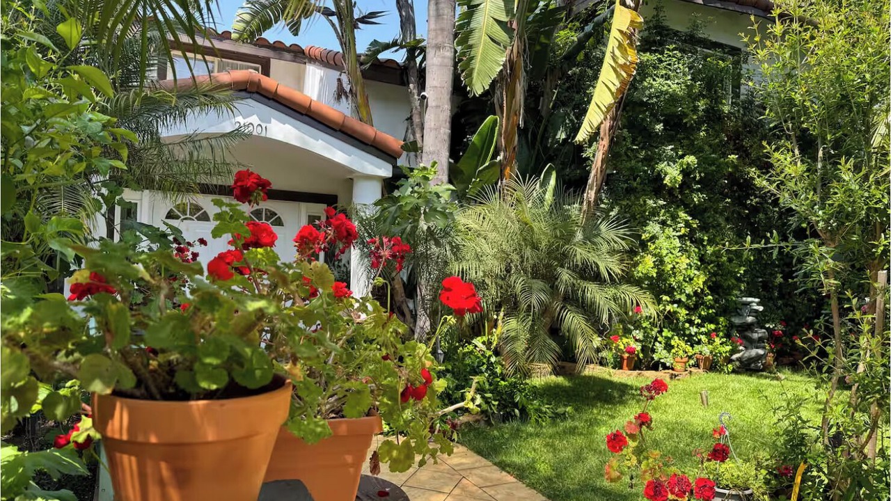 Photo of Outdoor in Woodland Hills