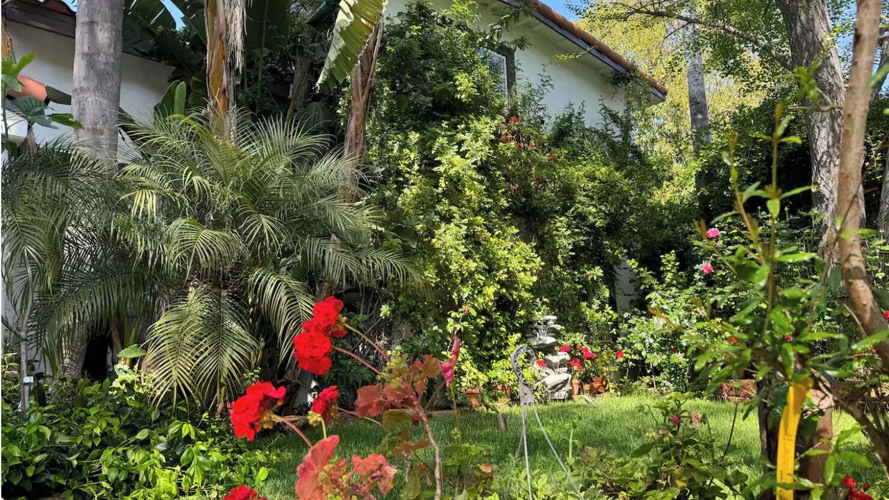 Photo of Outdoor in Woodland Hills