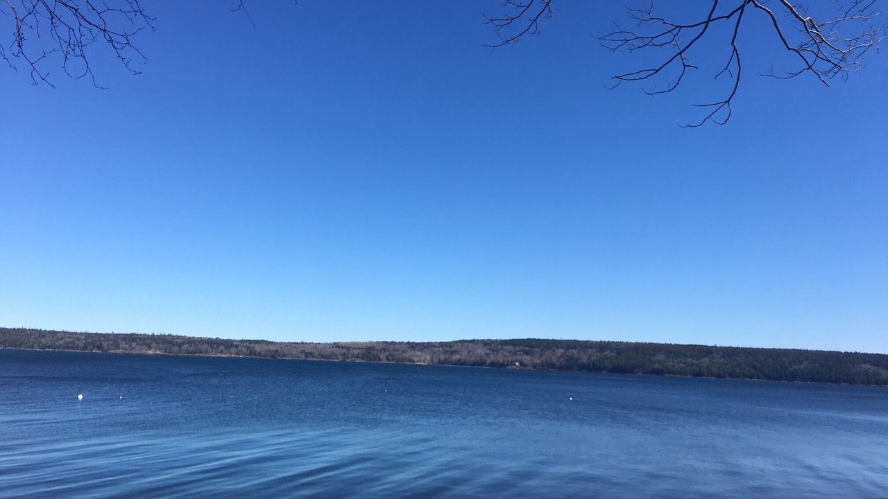 Photo of Others in Blue Hill