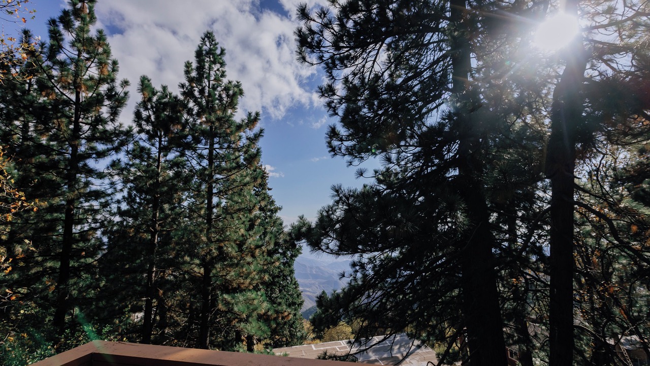 Photo of Outdoor in Running Springs