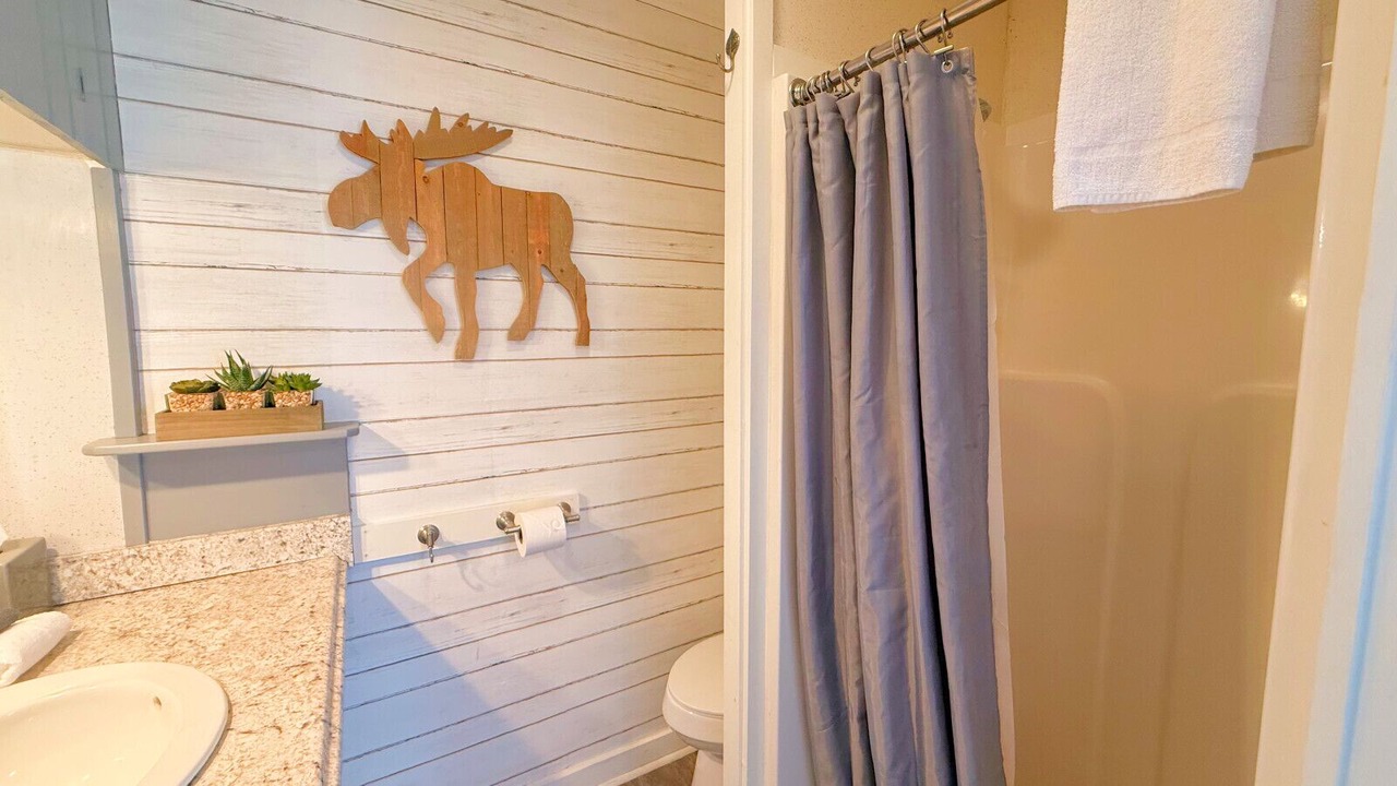 Photo of Bathroom in Greenville Junction