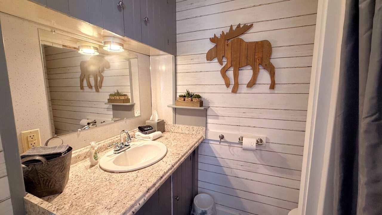 Photo of Bathroom in Greenville Junction