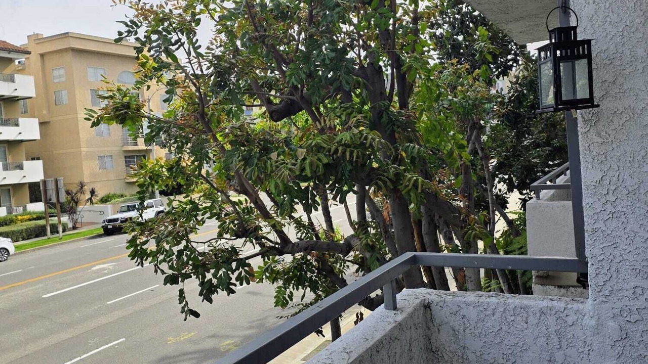 Photo of Outdoor in Sherman Oaks