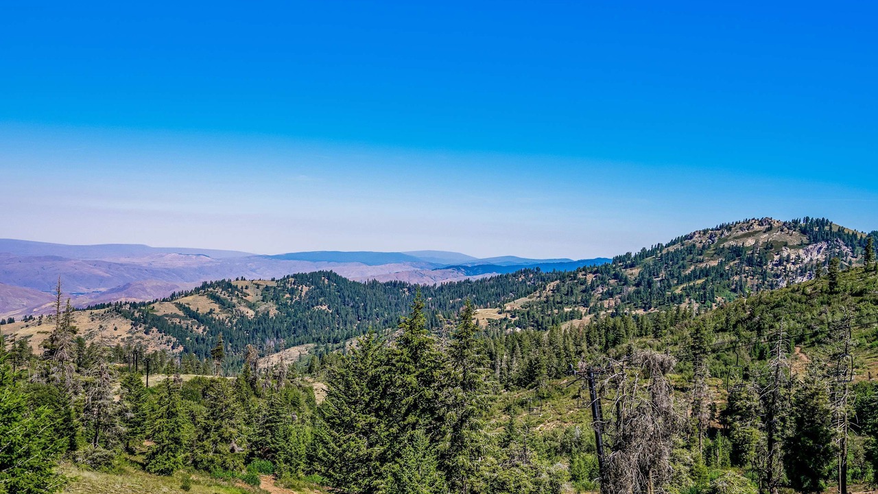 Photo of Others in Boise