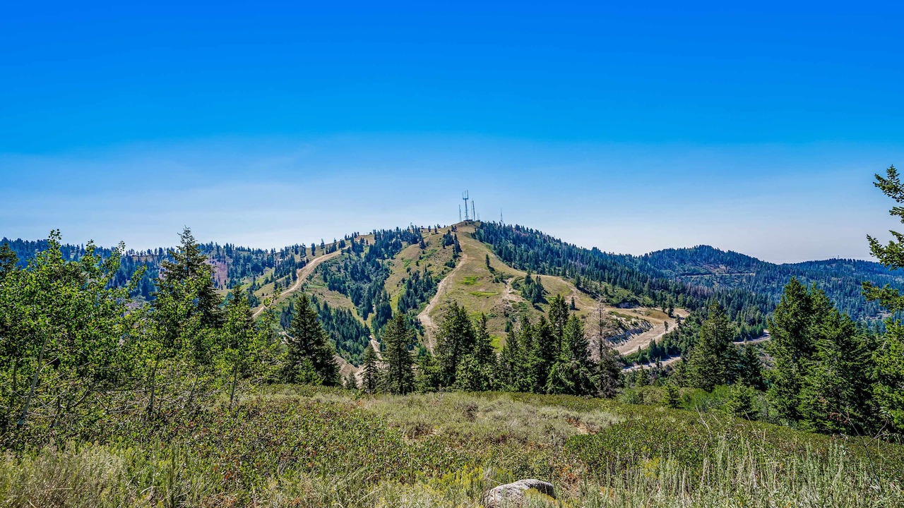 Photo of Others in Boise