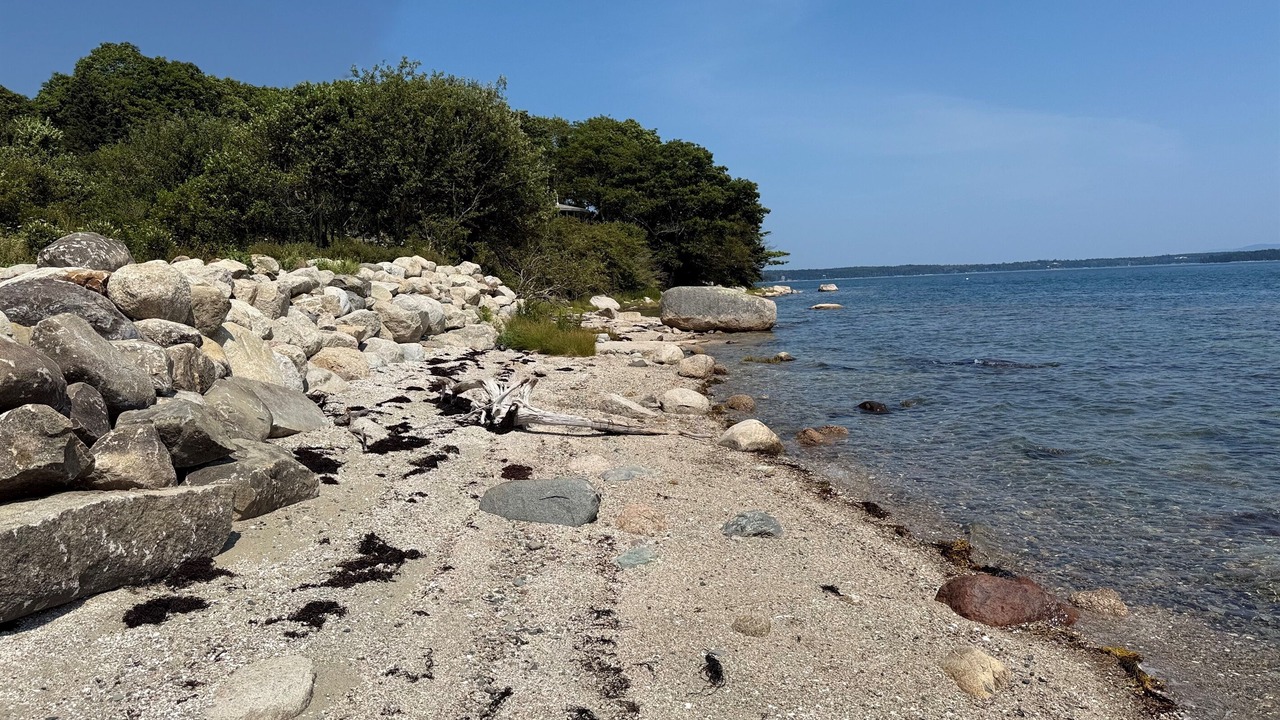 Photo of Others in Deer Isle