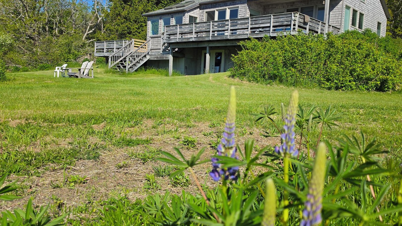 Photo of Outdoor in Deer Isle