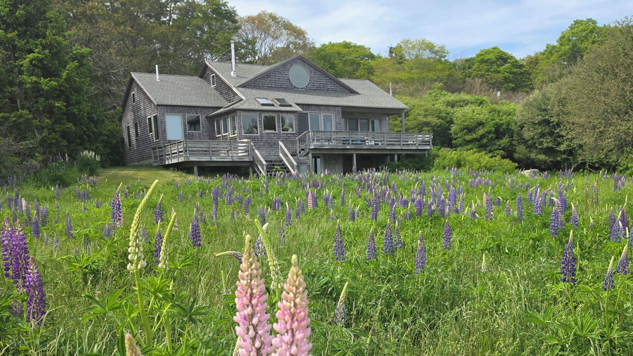 Photo of Others in Deer Isle