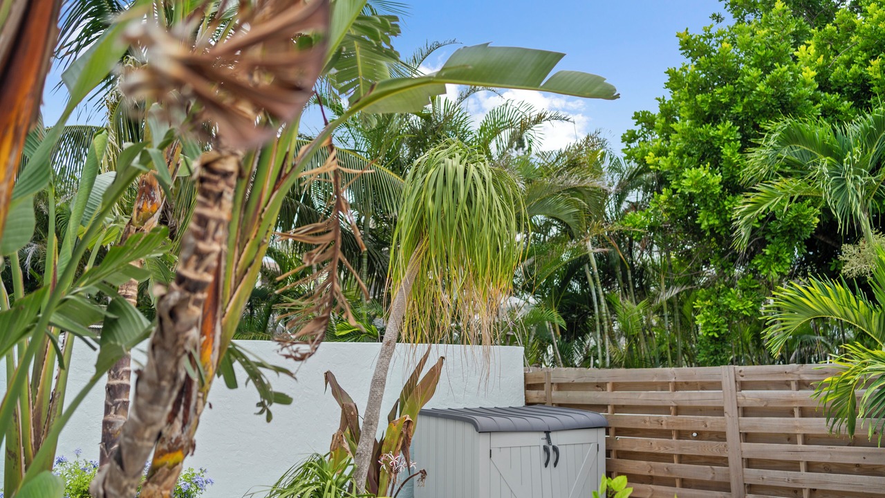 Photo of Outdoor in Sarasota