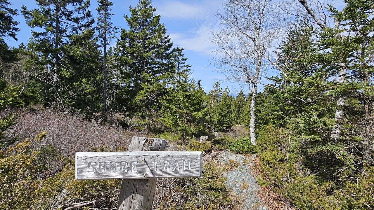 Photo of Others in Deer Isle