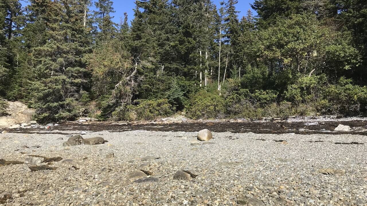 Photo of Others in Deer Isle