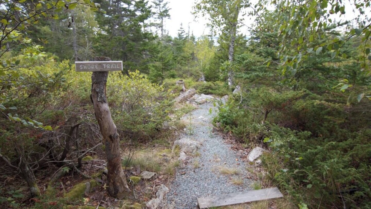 Photo of Others in Deer Isle