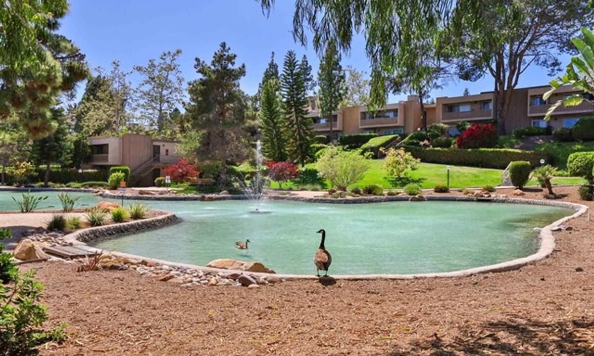 Photo of Outdoor in San Carlos
