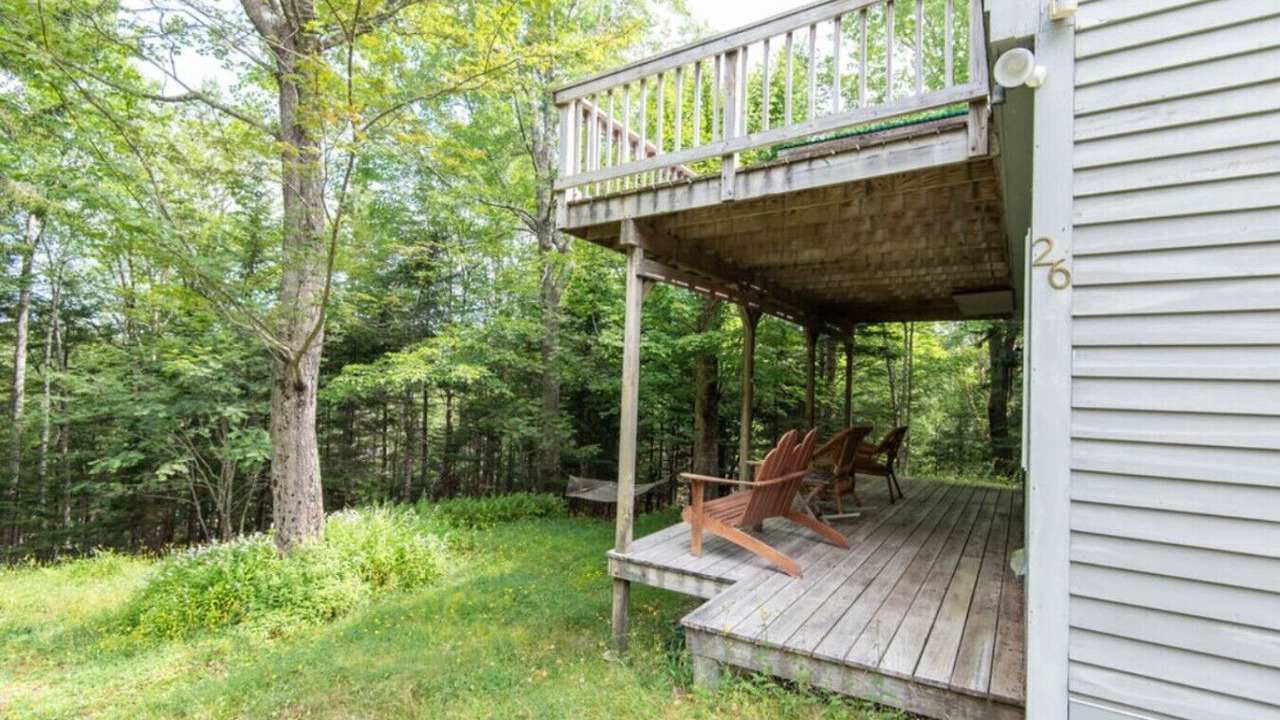 Photo of Outdoor in Seal Cove