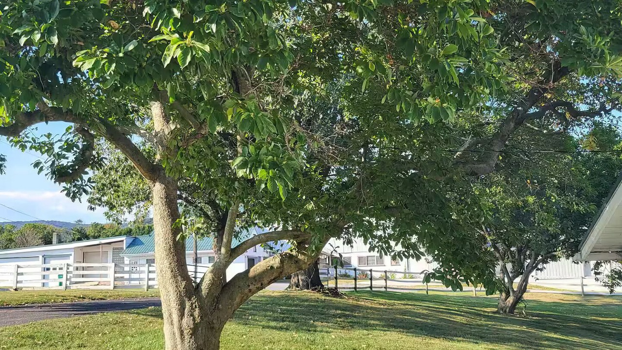 Photo of Outdoor in Bernville