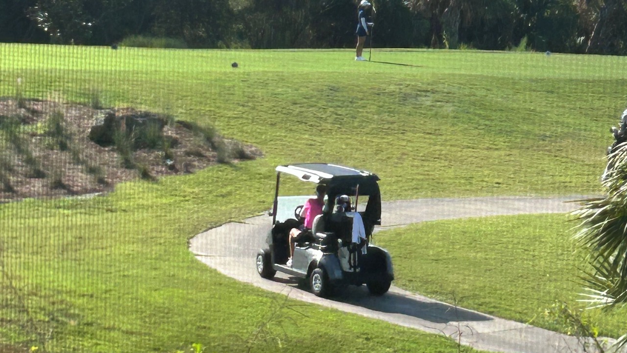 Photo of Others in Plantation