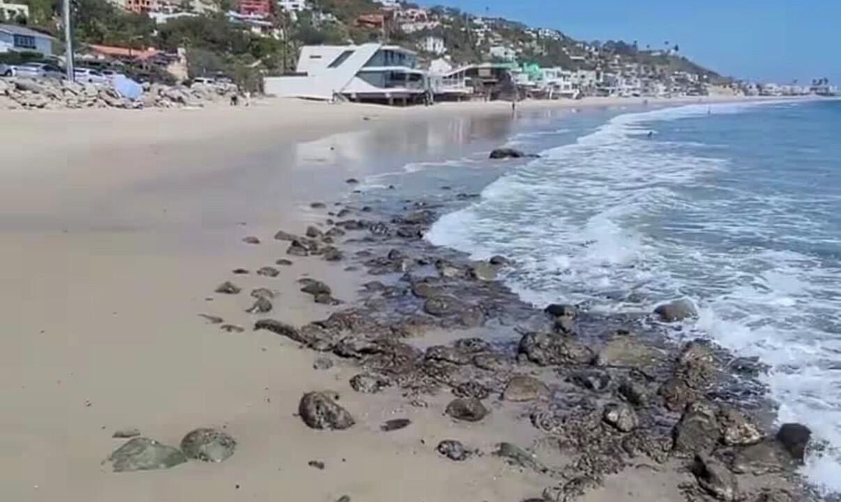 Photo of Others in Eastern Malibu