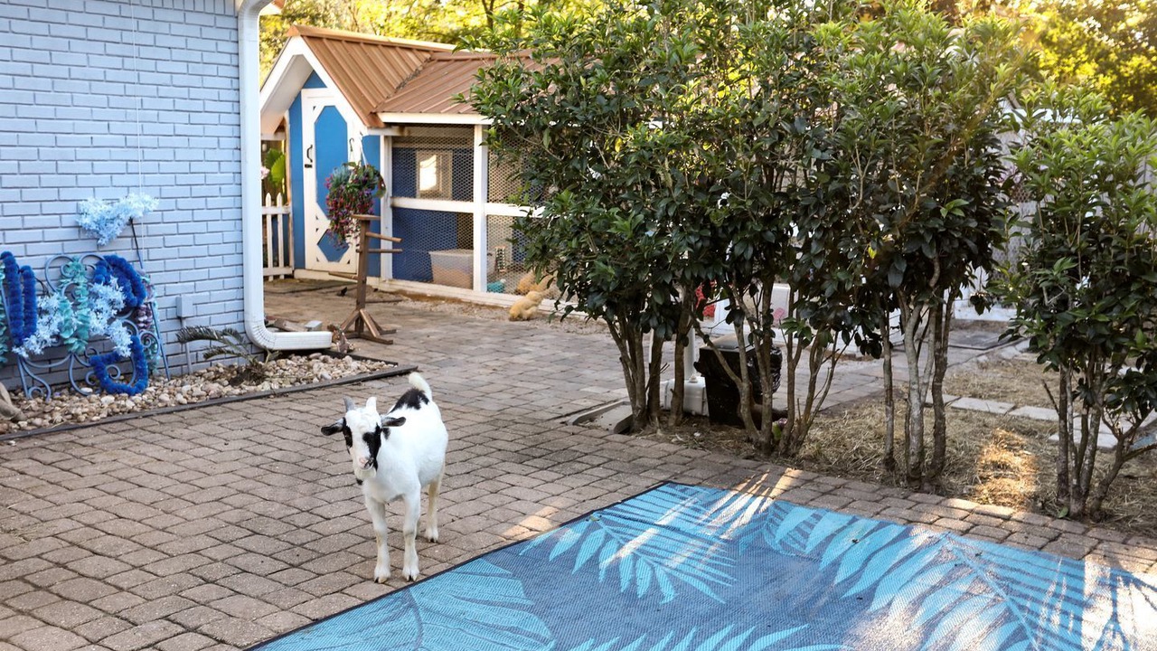Photo of Outdoor in Navarre