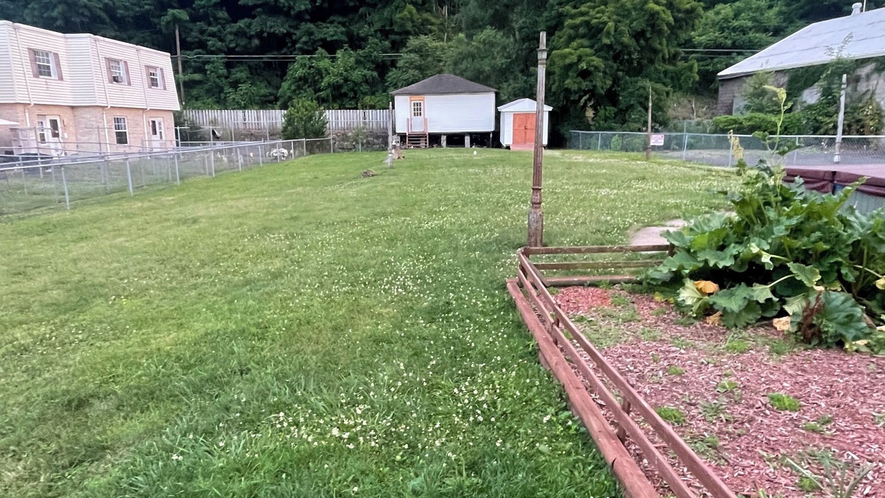 Photo of Outdoor in Pottsville