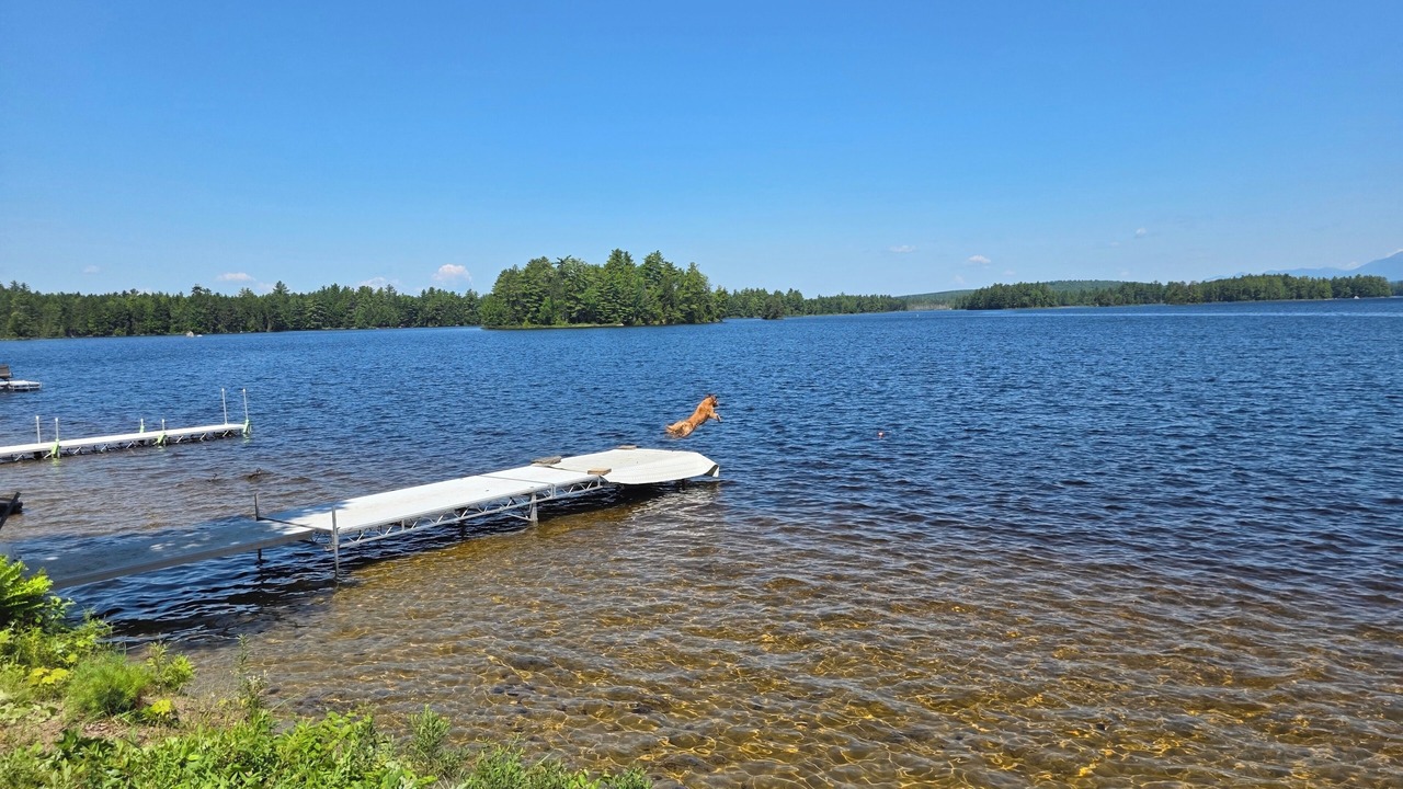 Photo of Others in Millinocket