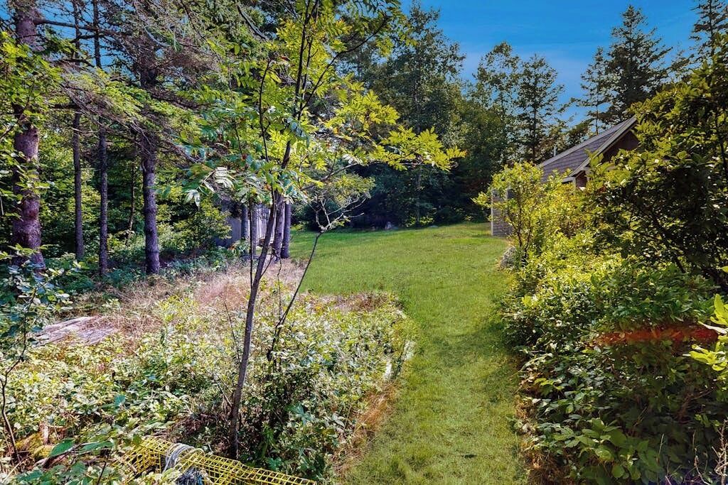 Photo of Outdoor in Port Clyde
