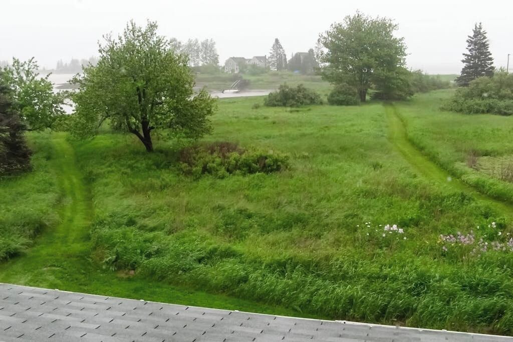 Photo of Outdoor in Owls Head