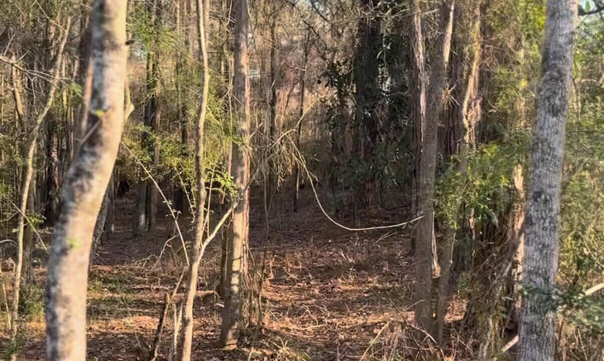 Photo of Others in Laurel Hill