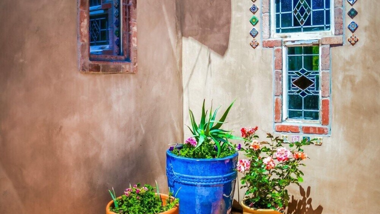 Photo of Outdoor in Escondido