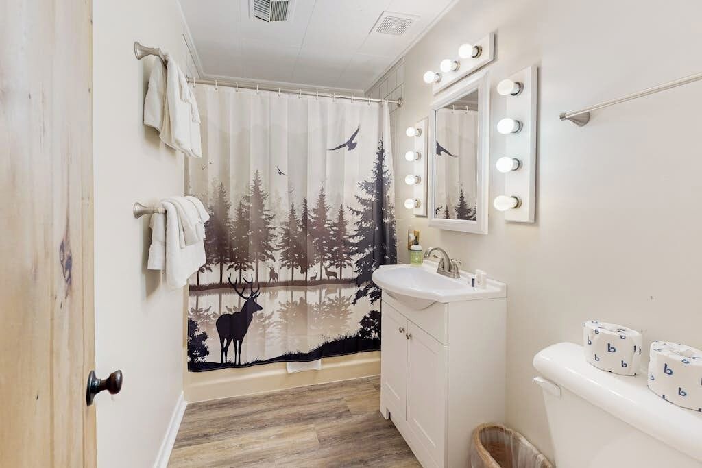Photo of Bathroom in Greenville Junction